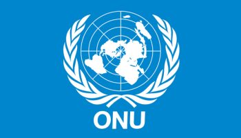 role of the UN today