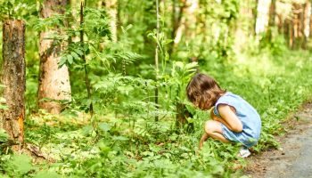 children’s right to nature
